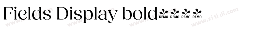 Fields Display bold字体转换